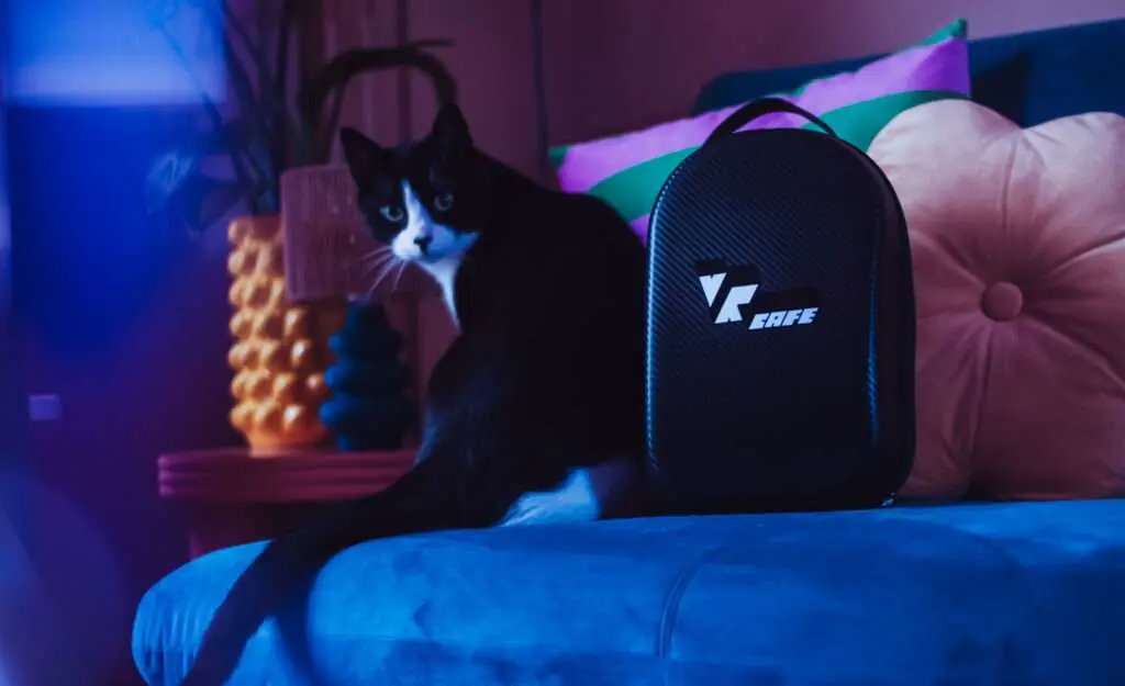 VR@Home hoes met kat